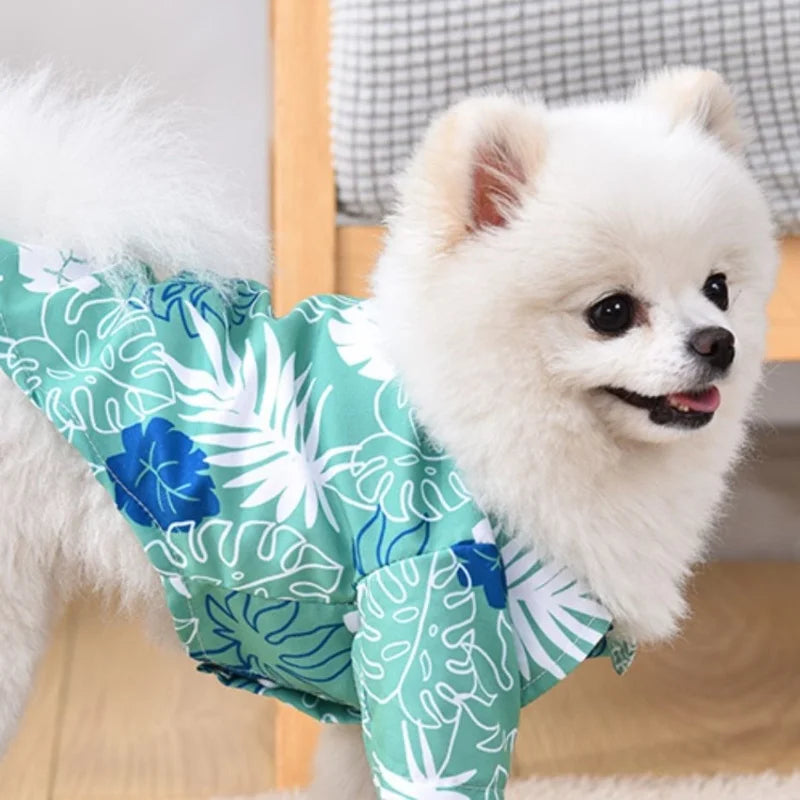 Luxe Pets