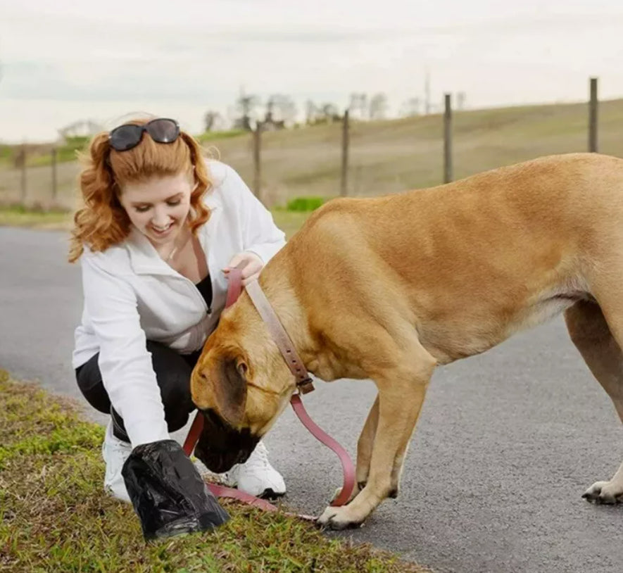 Dog Poop Bag Biodegradable Scented Leak Proof Dog Waste Bags