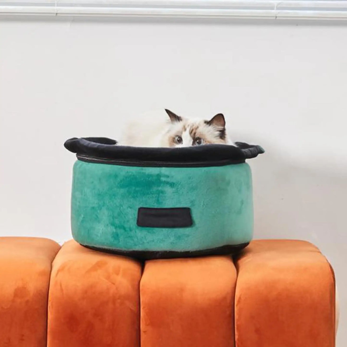 Cats Tunnel Bed with Zipper Washable Training Toy Detachable Easy to Carry Cozy Pet Cave Nest for Senior Cats Rabbits Play Puppy