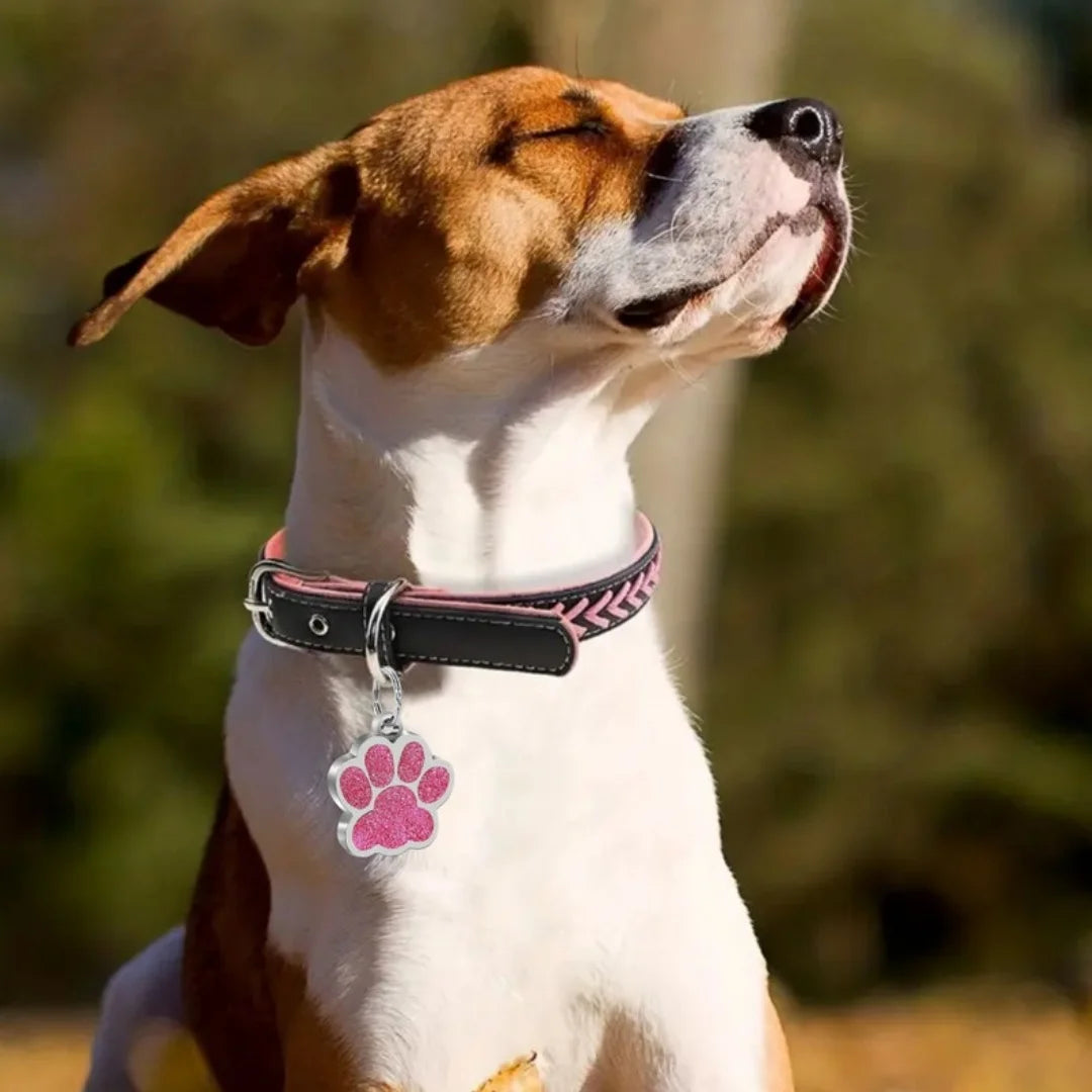 Custom Pet ID Tag - Personalized Engraved Name Tag for Dogs & Cats, Glitter Paw Print Charm, Waterproof Durable, Free Engraving
